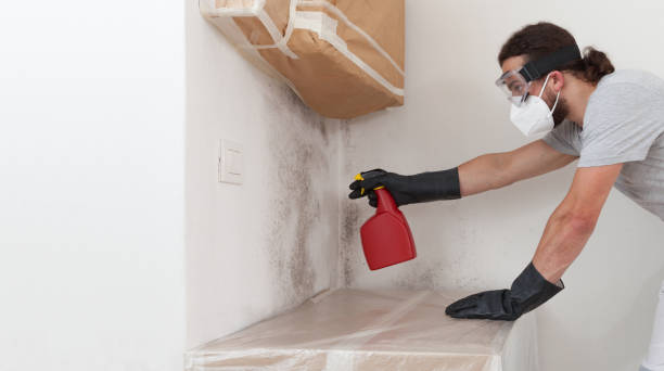 Professional Hvac And Air Duct Mold Remediation technician working in Bridgeport, NY